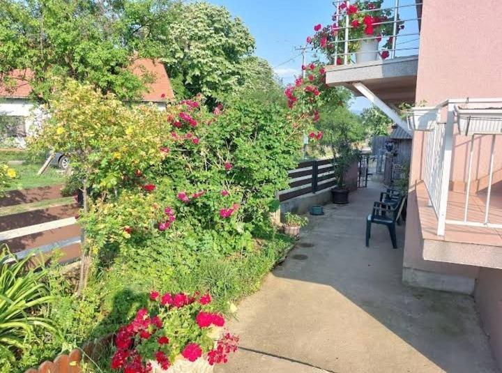 Seosko Domacinstvo Nedic Guest House Valjevo Exterior photo